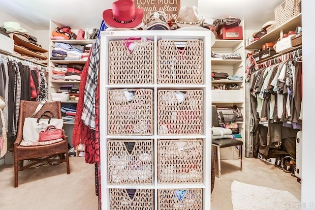 walk in closet featuring carpet