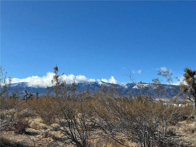 12650 Wintergreen Rd, Pinon Hills CA, 92372 land for sale