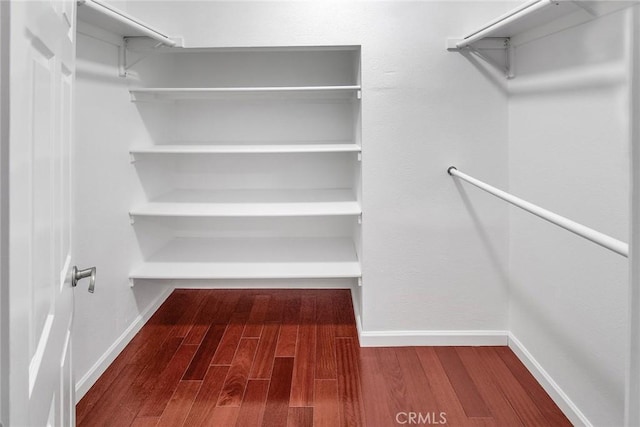 spacious closet featuring wood finished floors