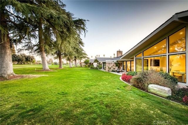 view of yard featuring a patio area