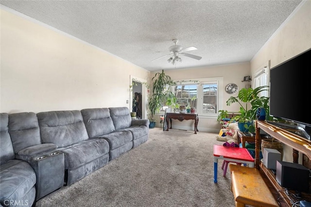 living area featuring a ceiling fan, carpet, and a textured ceiling