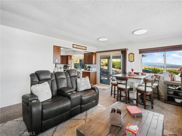 living area featuring light colored carpet and a textured ceiling