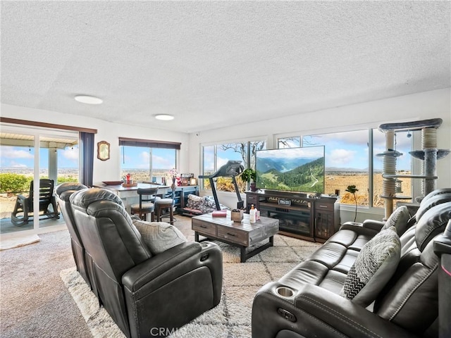 carpeted living area featuring a textured ceiling