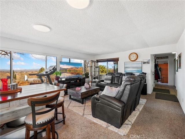 living area featuring light carpet and a textured ceiling