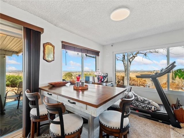 dining area with a healthy amount of sunlight, a textured ceiling, and carpet floors