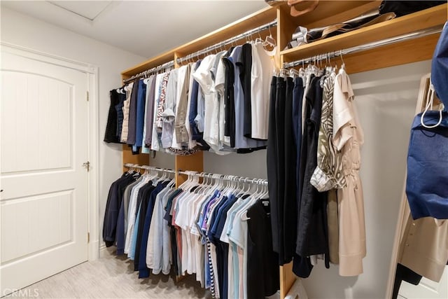 spacious closet with attic access