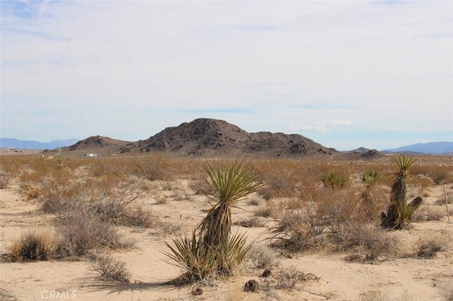 62555 Sonora Rd, Joshua Tree CA, 92252 land for sale