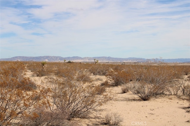 Listing photo 2 for 62555 Sonora Rd, Joshua Tree CA 92252