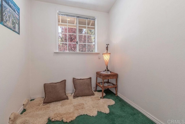 living area featuring baseboards and carpet floors