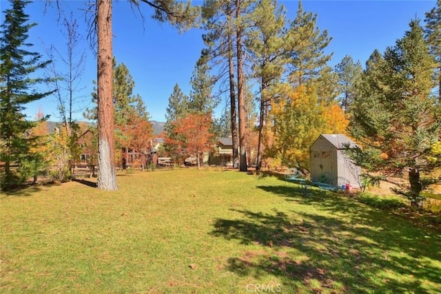 view of yard featuring an outbuilding and a storage shed