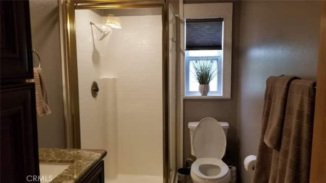 full bathroom featuring vanity, toilet, and a shower stall