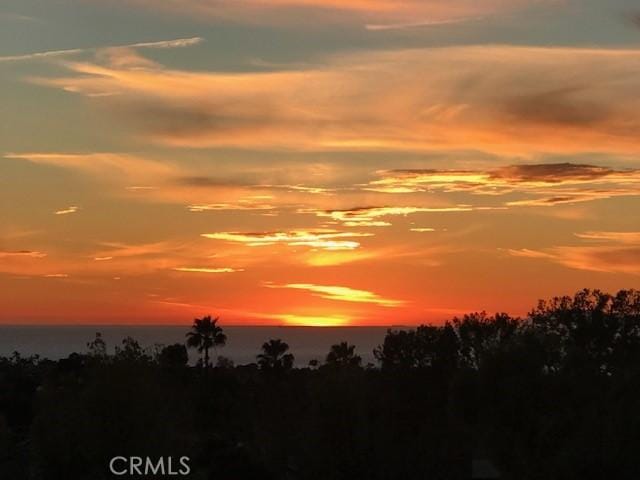 view of nature at dusk