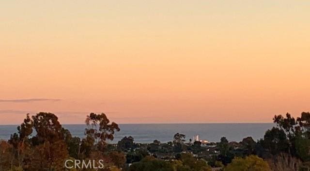 nature at dusk featuring a water view