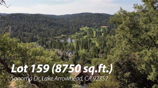 0 Sonoma Dr, Lake Arrowhead CA, 92352 land for sale