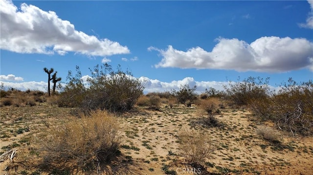 Listing photo 2 for 0 Reed Ave, Mojave CA 93501