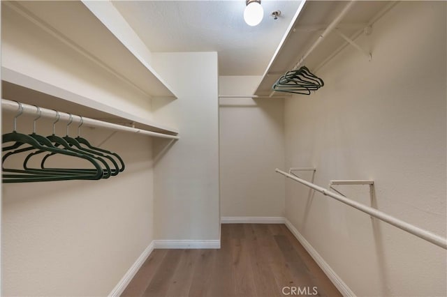 walk in closet with wood finished floors