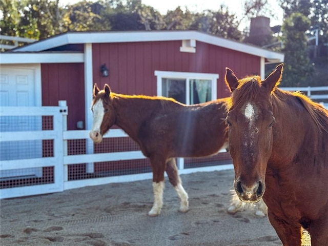 view of horse barn