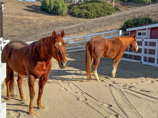 view of stable