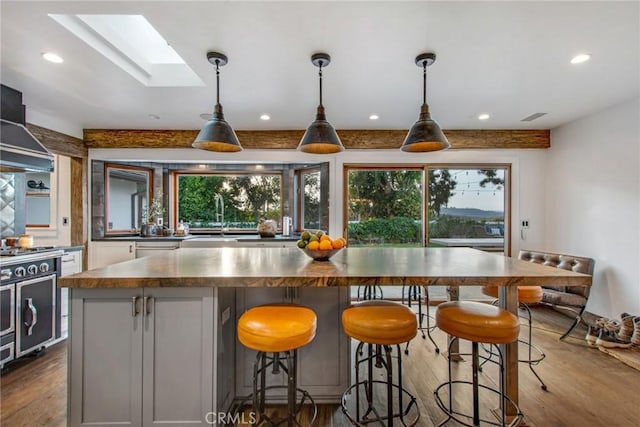 kitchen with a sink, a healthy amount of sunlight, a skylight, and dark wood finished floors