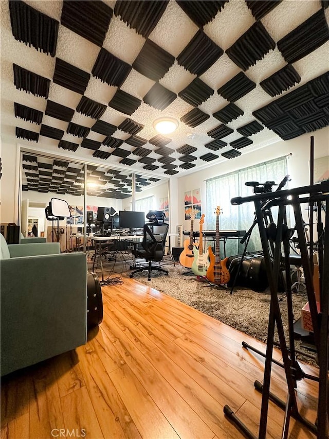 office area featuring hardwood / wood-style flooring