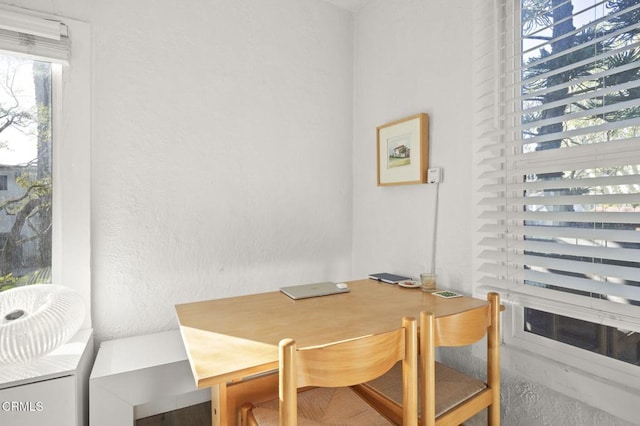 dining space featuring a healthy amount of sunlight