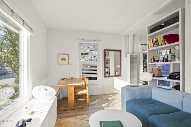 living area featuring light wood finished floors