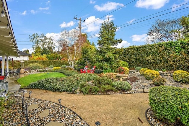 view of yard with a patio area and a fenced backyard