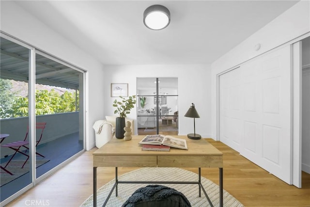 office space featuring light wood-style flooring