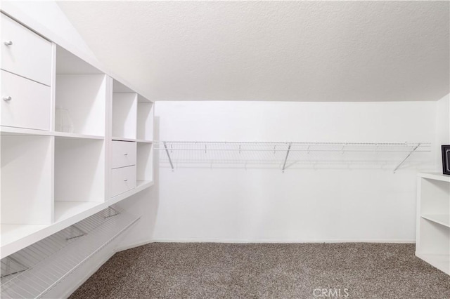 spacious closet with carpet floors