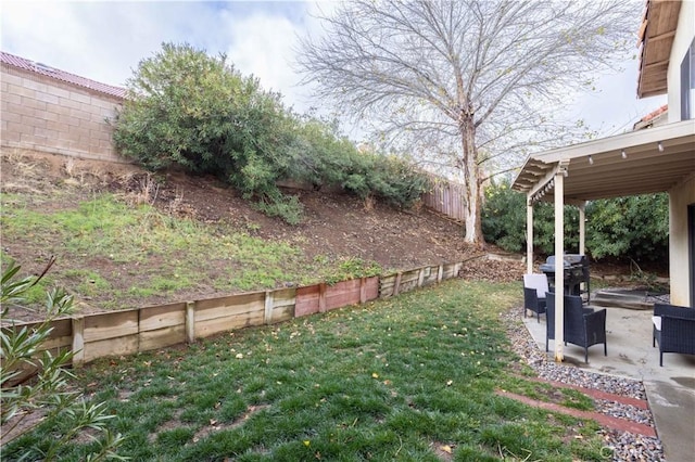 view of yard with a patio and a fenced backyard