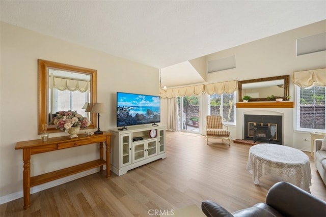 living area featuring baseboards, wood finished floors, and a wood stove