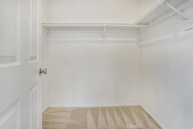 walk in closet featuring light carpet