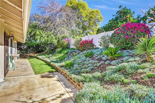 view of yard with a fenced backyard and a patio