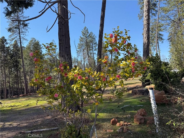 1796 Forest Glen Rd, Paradise CA, 95969 land for sale