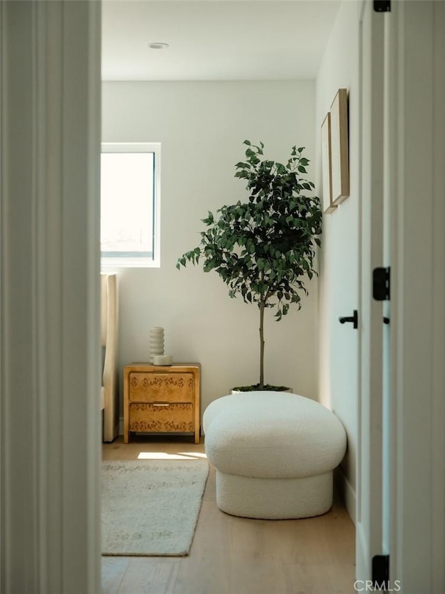 sitting room featuring wood finished floors