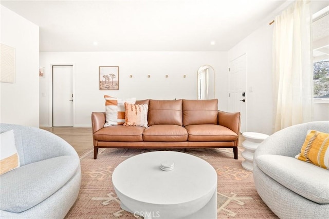 living room featuring light wood-type flooring