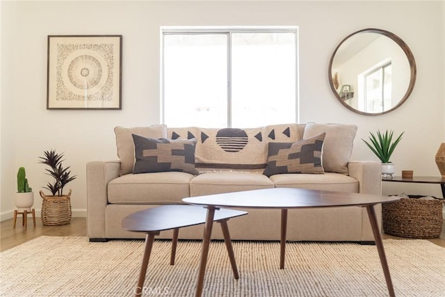 living room featuring baseboards and wood finished floors