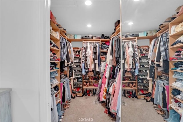 walk in closet with carpet floors