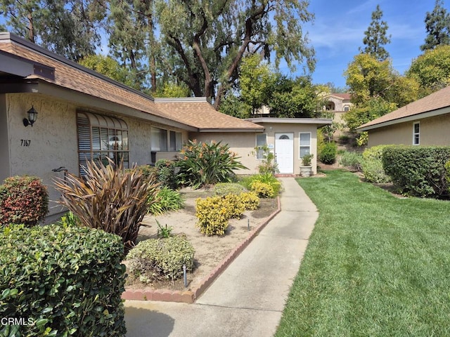 view of exterior entry featuring a yard, roof with shingles, and stucco siding