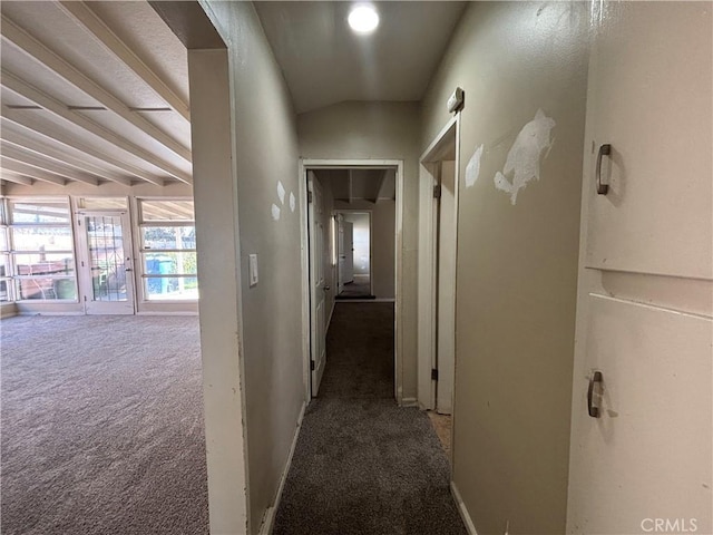 hallway with carpet flooring