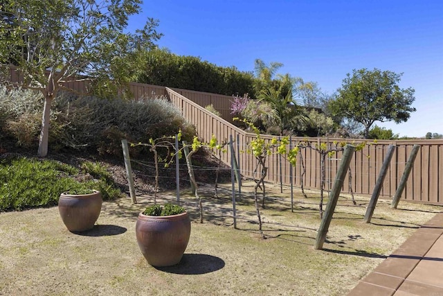 view of yard featuring a fenced backyard