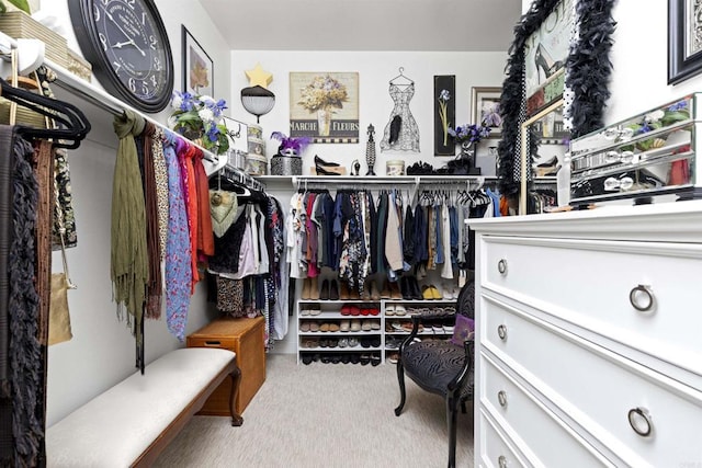 spacious closet featuring carpet floors