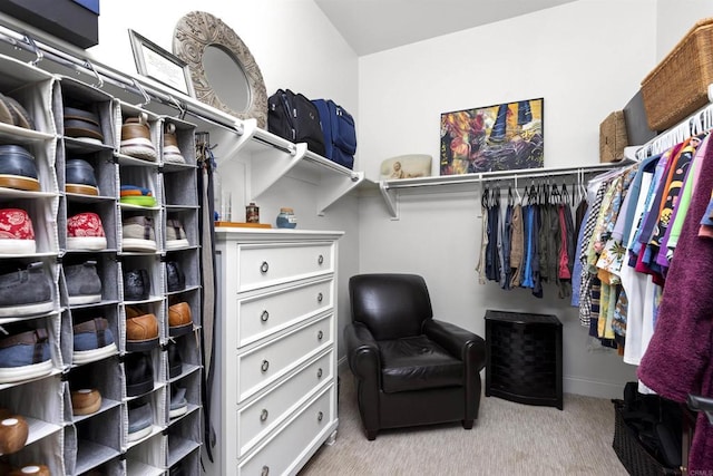 spacious closet with carpet floors