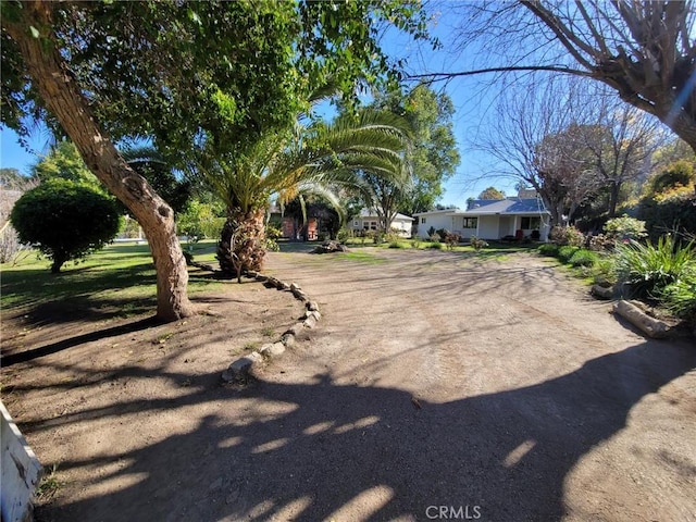 view of yard with driveway