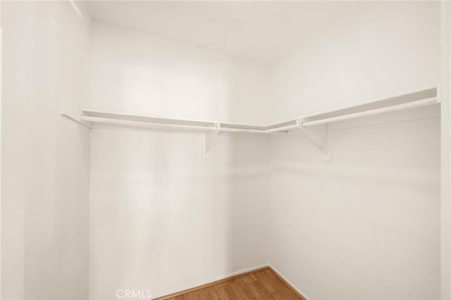 walk in closet featuring light wood finished floors