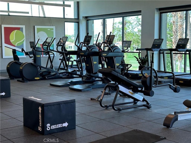 gym featuring a wealth of natural light