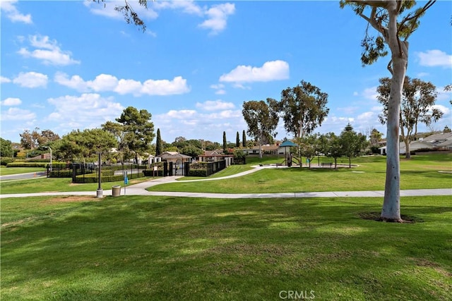 view of community with a yard