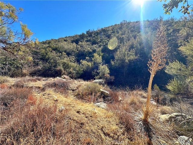 28618 Chihuahua Valley Rd, Warner Springs, CA 92086 - photo 9