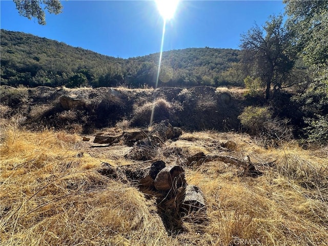 28618 Chihuahua Valley Rd, Warner Springs, CA 92086 - photo 24