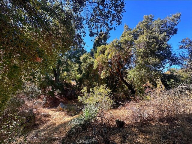 28618 Chihuahua Valley Rd, Warner Springs, CA 92086 - photo 26